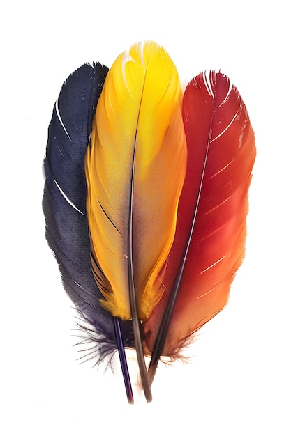 Hermosos arreglos de plumas