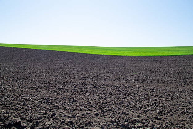 Hermosos campos de tierra negra en ucrania. paisaje rural agrícola | Foto  Gratis