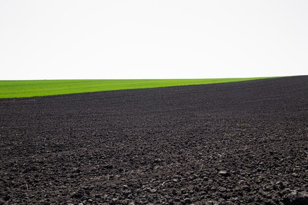Hermosos campos de tierra negra en Ucrania. Paisaje rural agrícola