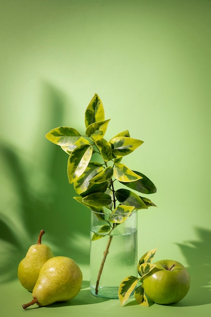 Foto gratuita hermosos detalles de plantas bicolor