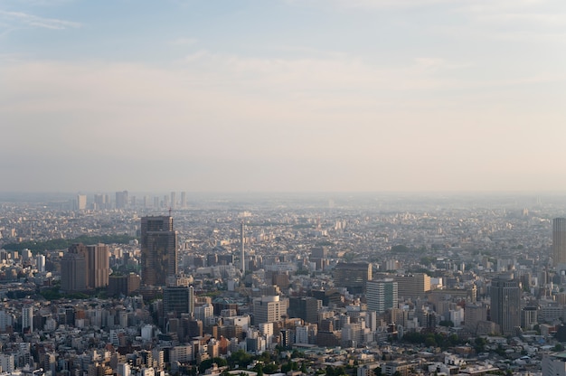 Hermosos edificios de la ciudad durante el día con niebla