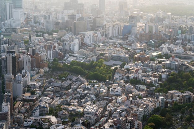 Hermosos edificios de la ciudad durante el día