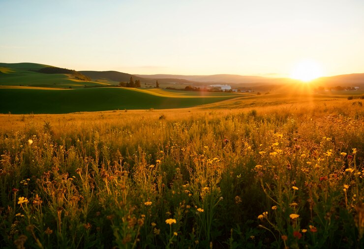 Foto gratuito hermosos paisajes naturales