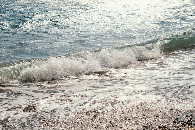 Hermosos recursos marinos naturales