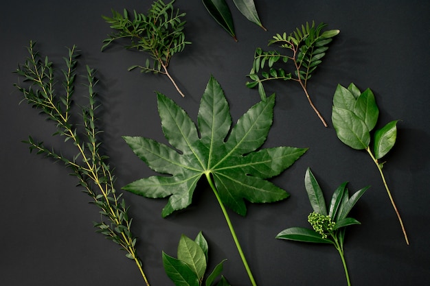 Herramientas y accesorios que los floristas necesitan para hacer un ramo