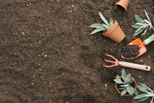 Herramientas dispuestas para jardinería en suelo.