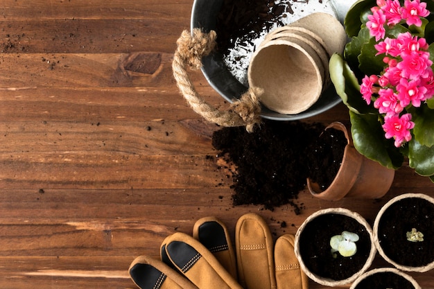 Herramientas de espacio de copia para jardinería.