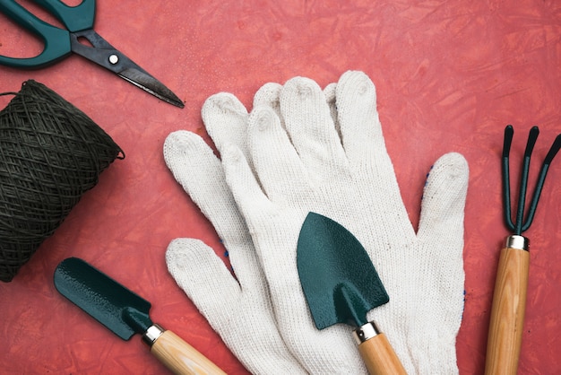 Herramientas de jardín y guantes