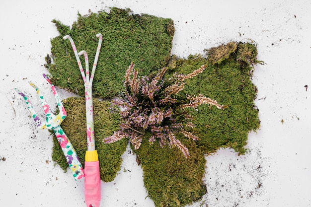 Herramientas de jardinería con césped sobre fondo blanco