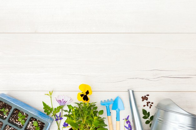 Herramientas de jardinería laicos planos y planta sobre fondo de madera con espacio de copia