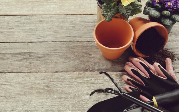 Herramientas de jardinería y maceta en mesa de madera