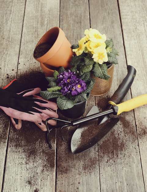 Herramientas de jardinería y maceta en mesa de madera