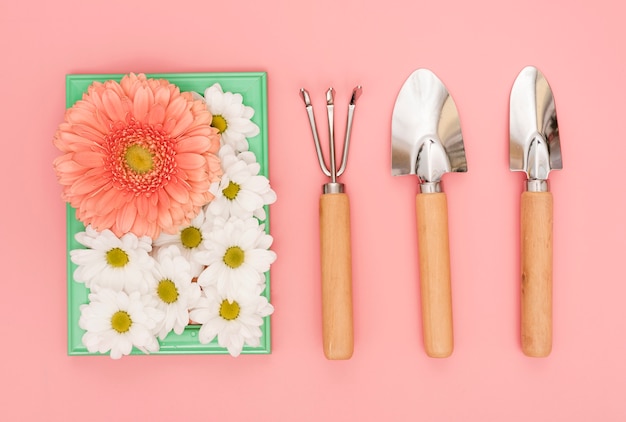 Herramientas de jardinería con margaritas y flores de gerbera.