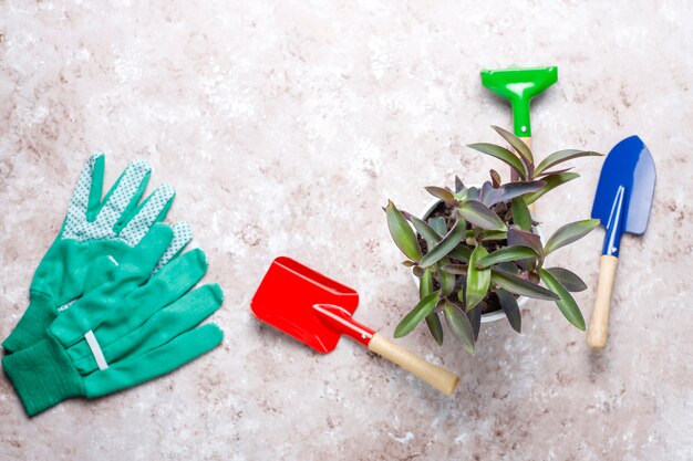 Herramientas de jardinería en mesa de luz con planta de casa y guantes