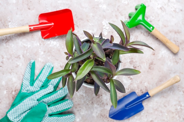 Herramientas de jardinería en mesa de luz con planta de casa y guantes