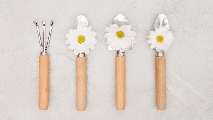 Foto gratuito herramientas de jardinería minimalistas y flores de margarita