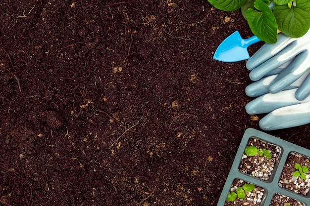 Herramientas de jardinería planas y plantas en el suelo con espacio de copia