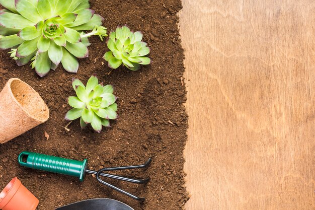 Herramientas de jardinería y plantas sobre la tierra vista desde arriba