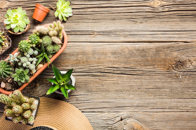 Herramientas de jardinería sobre suelo de madera vista desde arriba