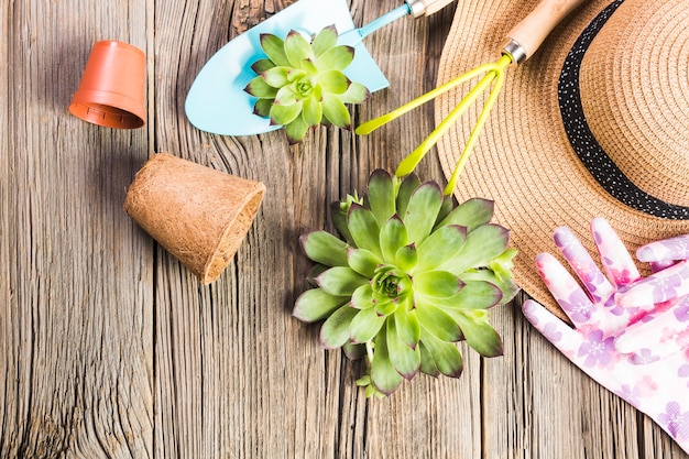 Herramientas de jardinería sobre suelo de madera vista desde arriba