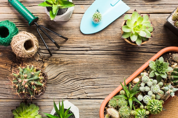 Herramientas de jardinería sobre suelo de madera vista desde arriba