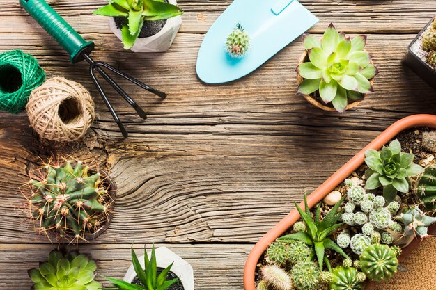 Herramientas de jardinería sobre suelo de madera vista desde arriba