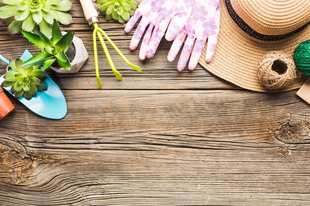 Herramientas de jardinería sobre suelo de madera vista desde arriba