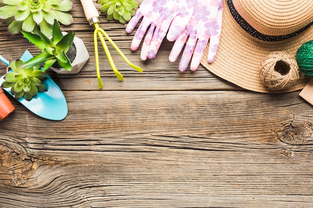 Herramientas de jardinería sobre suelo de madera vista desde arriba