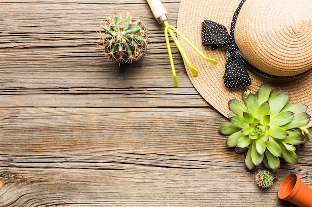 Herramientas de jardinería sobre suelo de madera vista desde arriba