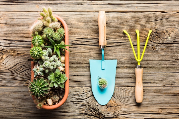 Herramientas de jardinería sobre suelo de madera vista desde arriba