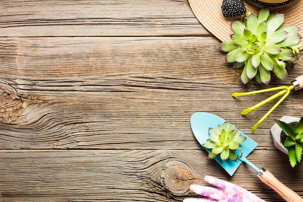 Herramientas de jardinería sobre suelo de madera vista desde arriba