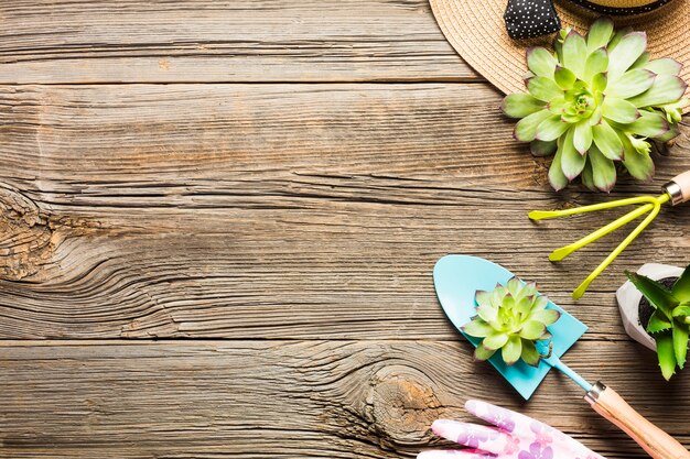 Herramientas de jardinería sobre suelo de madera vista desde arriba