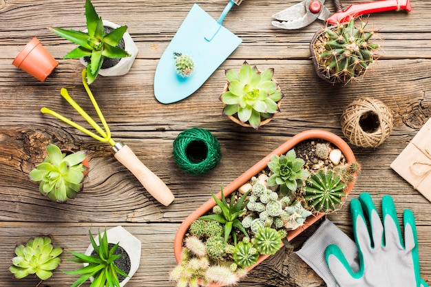 Herramientas de jardinería sobre suelo de madera vista desde arriba