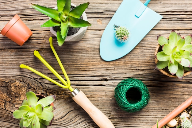 Herramientas de jardinería sobre suelo de madera vista desde arriba