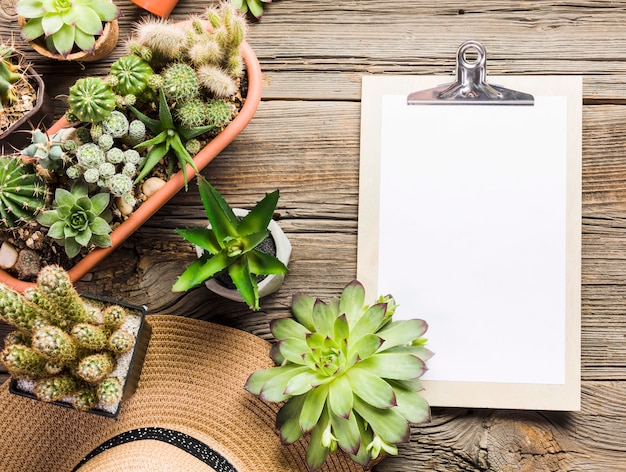 Herramientas de jardinería sobre suelo de madera vista desde arriba