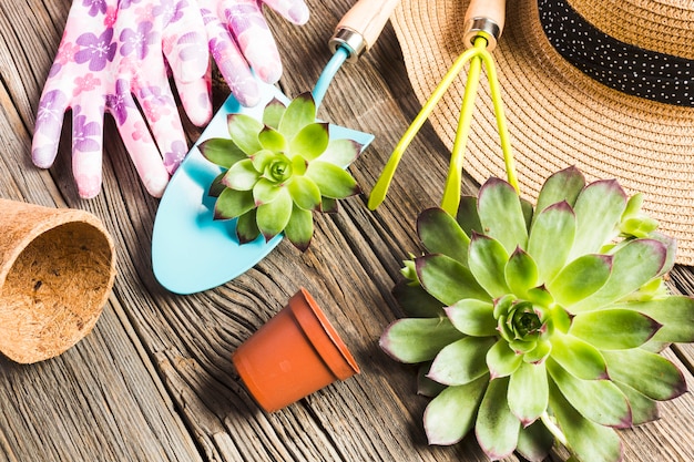 Herramientas de jardinería sobre suelo de madera vista desde arriba