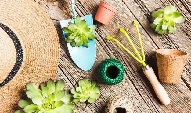 Herramientas de jardinería sobre suelo de madera vista desde arriba