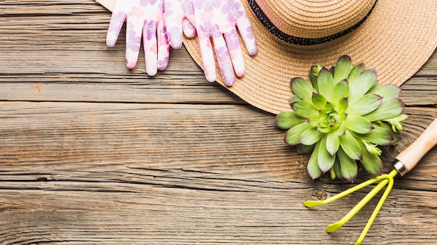 Herramientas de jardinería sobre suelo de madera vista desde arriba