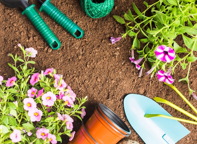 Herramientas de jardinería sobre la tierra vista desde arriba