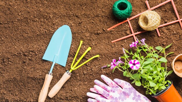 Herramientas de jardinería sobre la tierra visto desde arriba