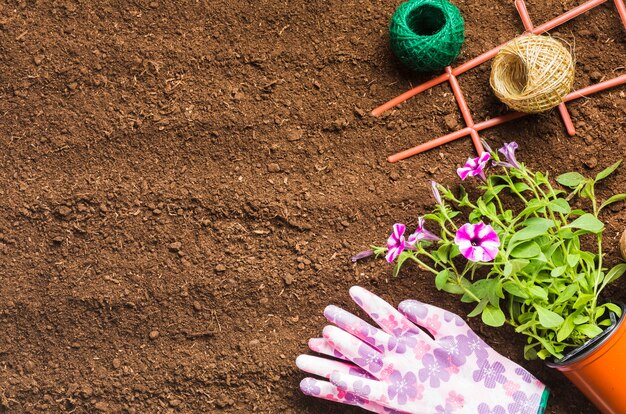 Herramientas de jardinería sobre la tierra visto desde arriba