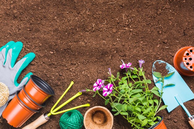 Herramientas de jardinería sobre la tierra visto desde arriba