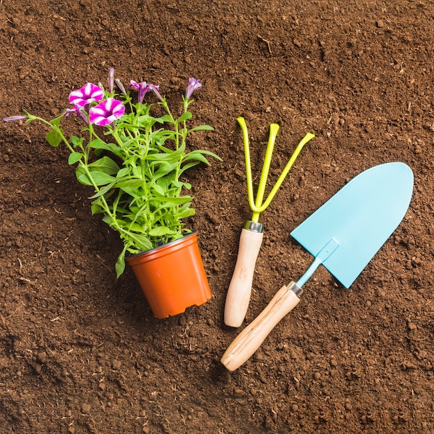 Herramientas de jardinería sobre la tierra visto desde arriba