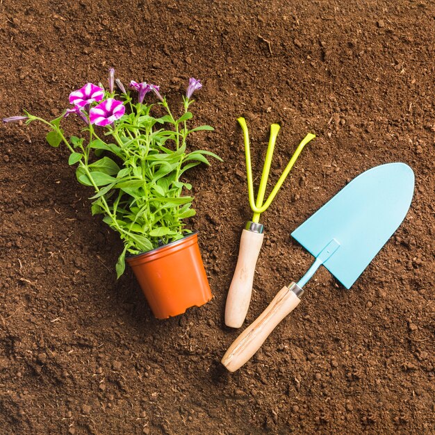 Herramientas de jardinería sobre la tierra visto desde arriba