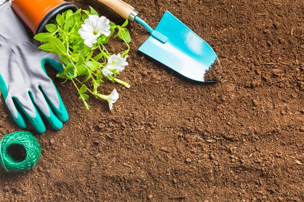 Herramientas de jardinería sobre la tierra visto desde arriba