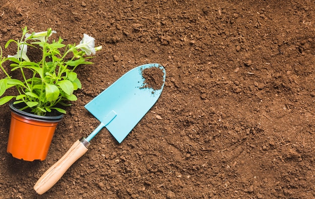 Herramientas de jardinería sobre la tierra visto desde arriba