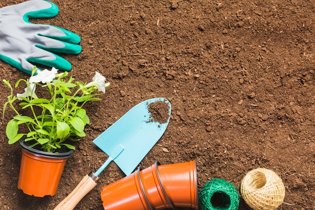 Herramientas de jardinería sobre la tierra visto desde arriba