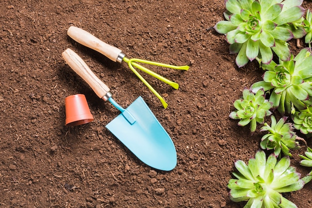 Foto gratuita herramientas de jardinería sobre la tierra visto desde arriba