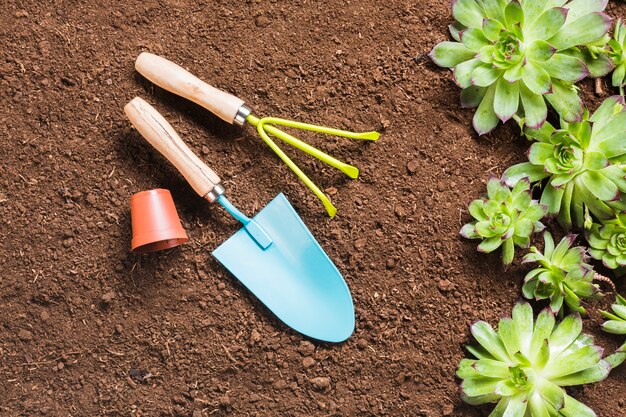 Herramientas de jardinería sobre la tierra visto desde arriba