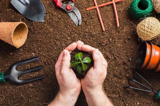 Herramientas de jardinería sobre la tierra visto desde arriba